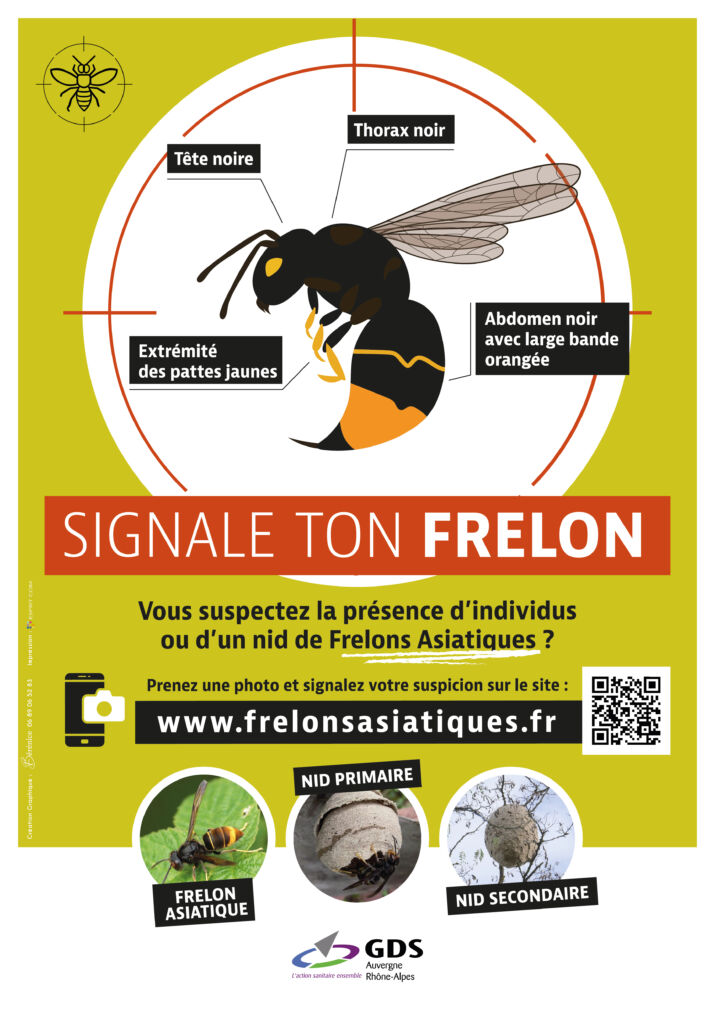 affiche a4 www frelonsasiatiques fr 2023