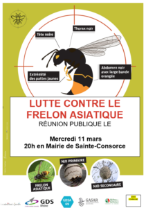 affiche reunion frelon