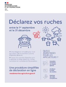 décla ruche 2026