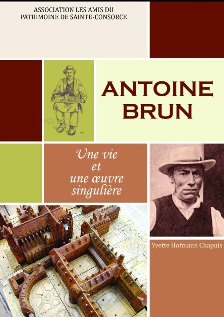 livre une oeuvre et une vie singulière a. brun