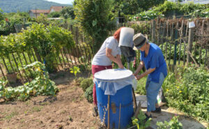 pose moustiquaire bidon recuperation d eau de pluie dans un jardin partage communal en region auvergne rhone alpes